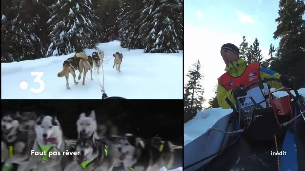 Faut pas rêver - 3 février