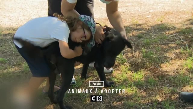 Animaux à adopter - 9 janvier