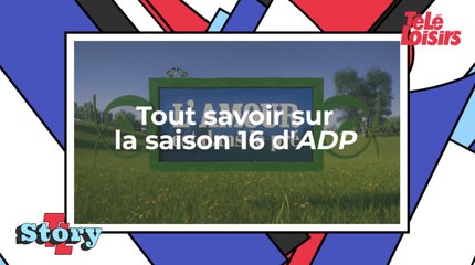 Tout savoir sur la saison 16 de L'Amour est dans le pré