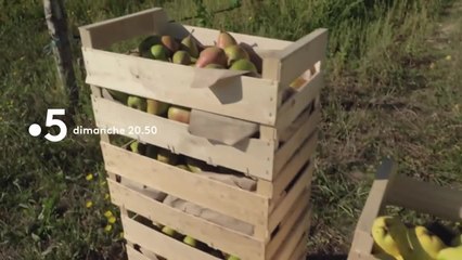 Le Paris des marchés - 13 décembre