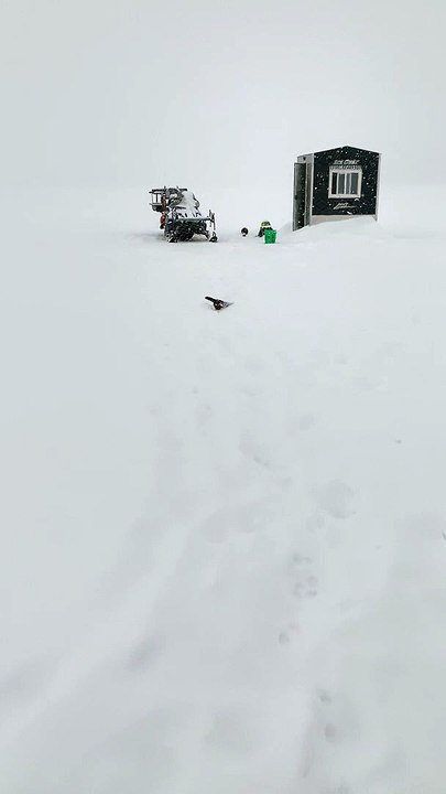Wild Mink Trying to Run Away with Day's Catch