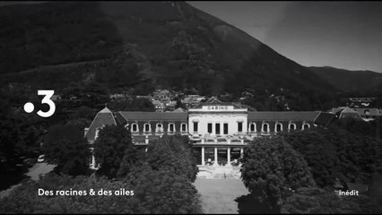 Des racines et des ailes - 25 novembre