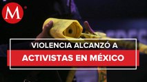 En México, 25 activistas pro derechos humanos y ecologistas fueron asesinados en 2021