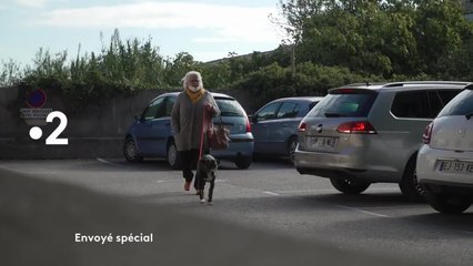 Envoyé Special - 19 novembre
