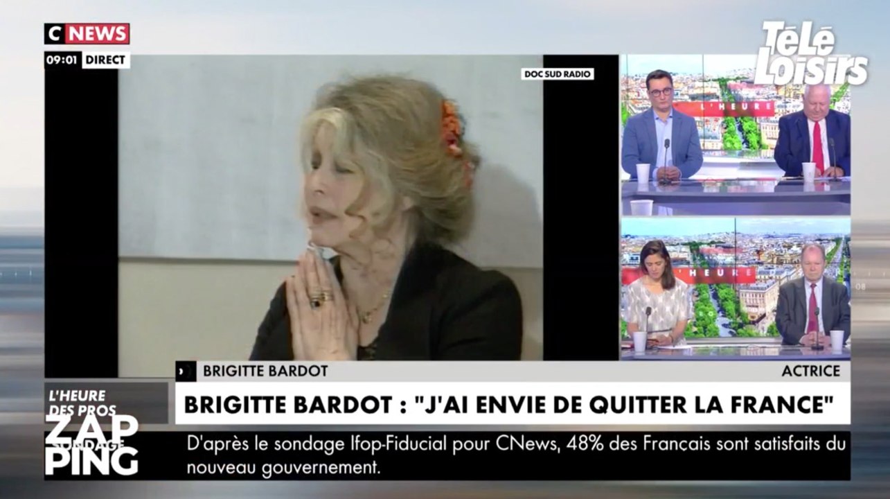 Brigitte Bardot très en colère contre le gouvernement : "On est gouvernés par des lâches"