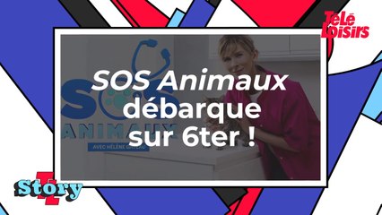 SOS Animaux débarque sur 6ter !