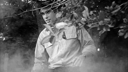 Lilith Movie (1964) - Warren Beatty, Jean Seberg, Peter Fonda