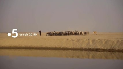 Au bout c'est la mer - 25 août