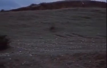 Où est la maison de mon ami ? - 27 juillet