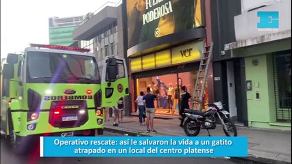 Operativo rescate: así le salvaron la vida a un gatito atrapado en un local del centro platense