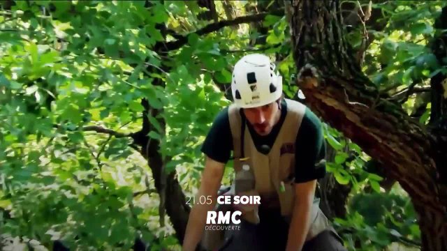 Cabanes perchées - 3 aout