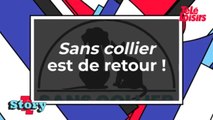 La saison 2 de Sans collier débarque sur TFX !