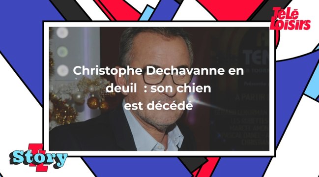 Christophe Dechavanne en deuil : son chien Adeck, que les téléspectateurs connaissaient bien, est mort