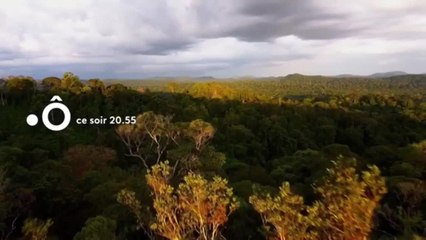 Outre-mer 100 ans en clichés - 28 mai