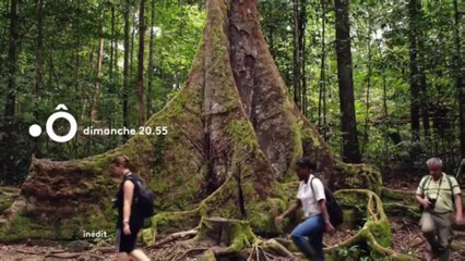 Ariane, sur la route de l'espace - 17 mai