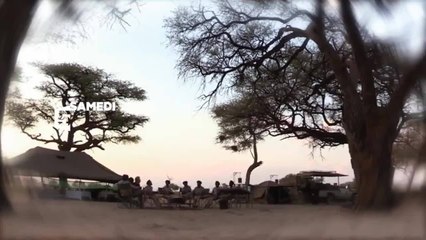 Echappées belles : Botswana, intense et sauvage