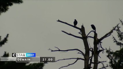 Ghost Adventures - 25 avril