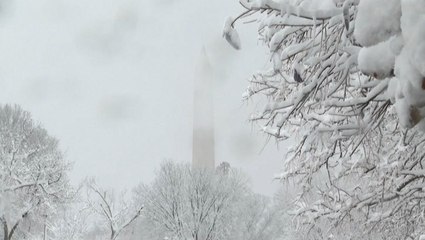 Can you spot the monuments? Whiteout conditions blanket the nation's capital