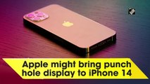 Apple may bring punch hole display to iPhone 14