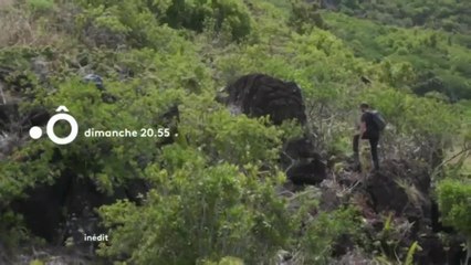 L'île aux miels - 19 avril