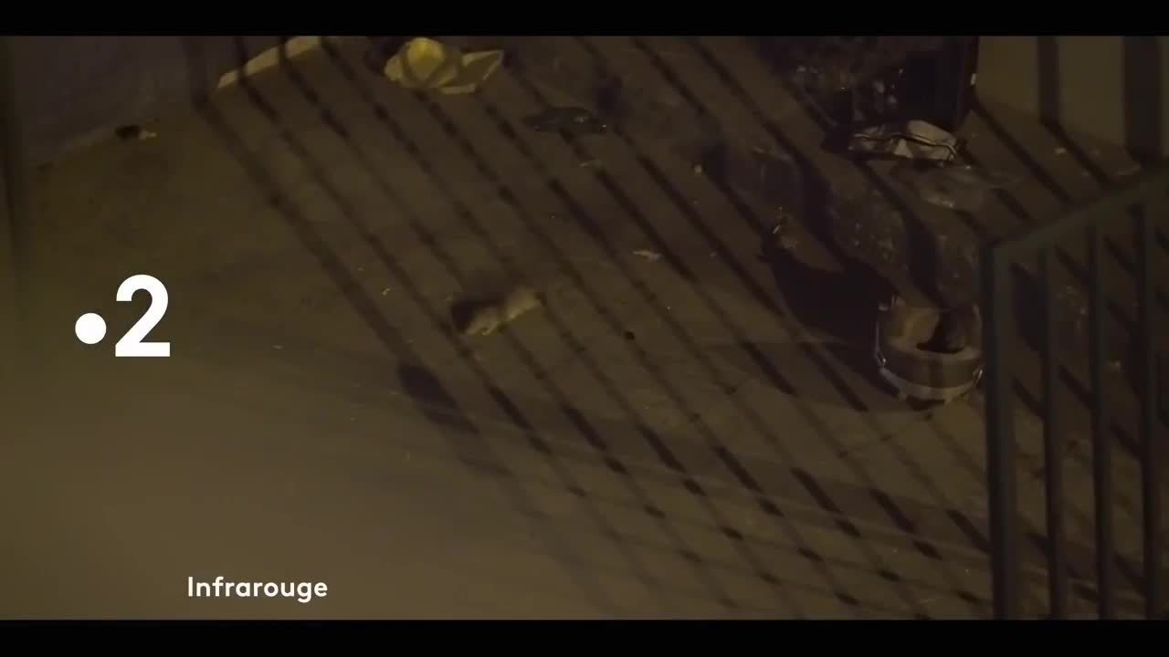 Des ordures et des hommes - 11 février