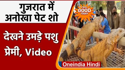 Gujarat: Navsari में आयोजित अनोखे pet show में उमड़ी भारी भीड़, देखें Video | वनइंडिया हिंदी