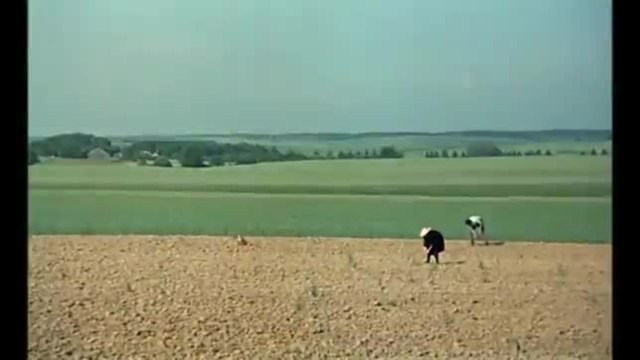 La veuve Couderc - 5 avril