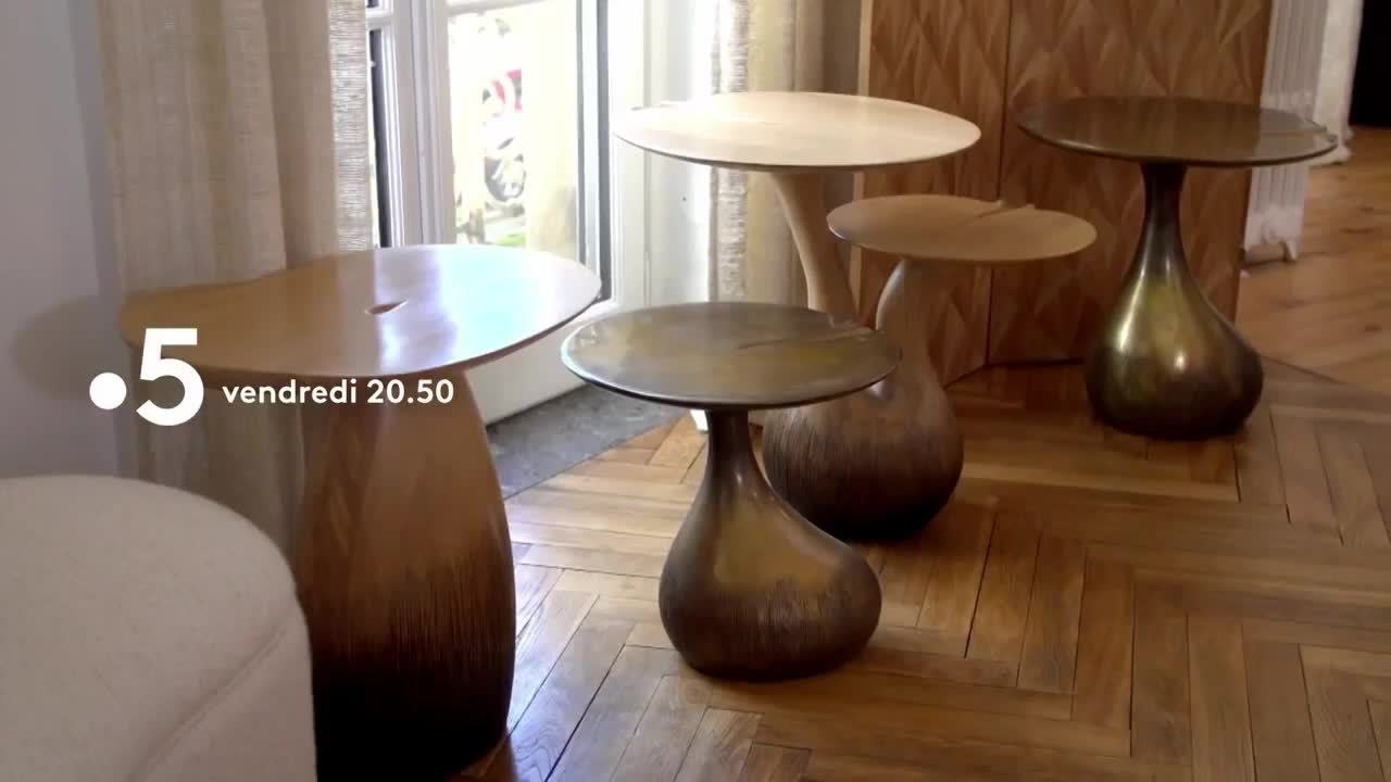 La maison France 5 - 20 mars