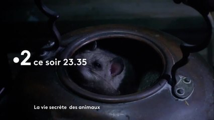 Des satellites au service de la Terre - 10 mars