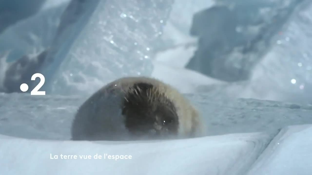 La terre vue de l'espace - 10 mars