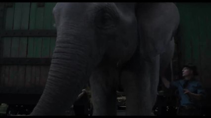 Dumbo - 21 février