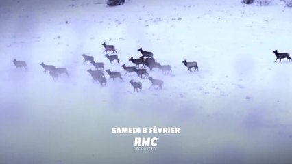 Seuls face au Montana - 8 février