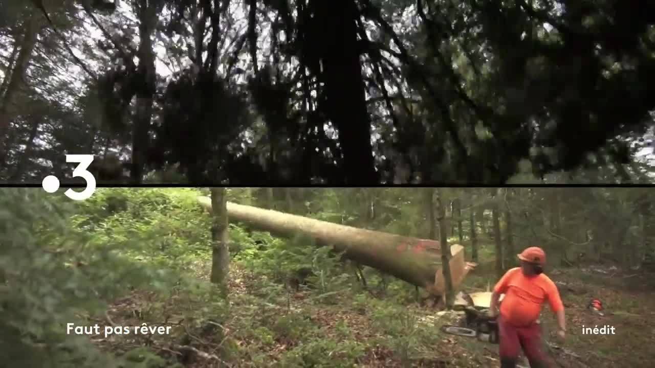 Faut pas rêver - 19 février