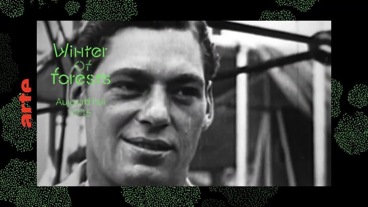 Tarzan trouve un fils - 13 janvier