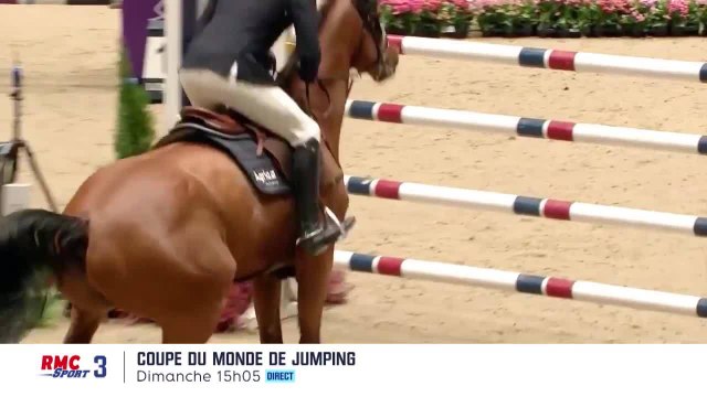 Coupe du monde de saut d'obstacles : Leipzig