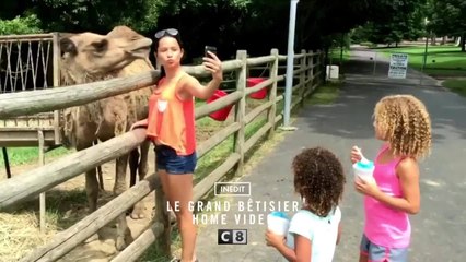 Le grand Bêtisier - 30 décembre