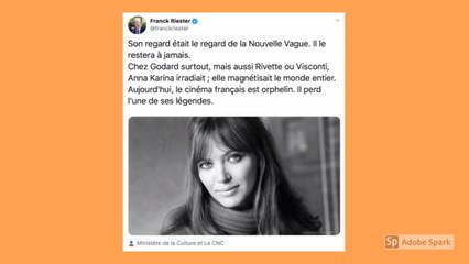 Mort d'Anna Karina : Franck Riester, Pierre Lescure, Gilles Jacob et une foule de cinéphiles lui rendent hommage