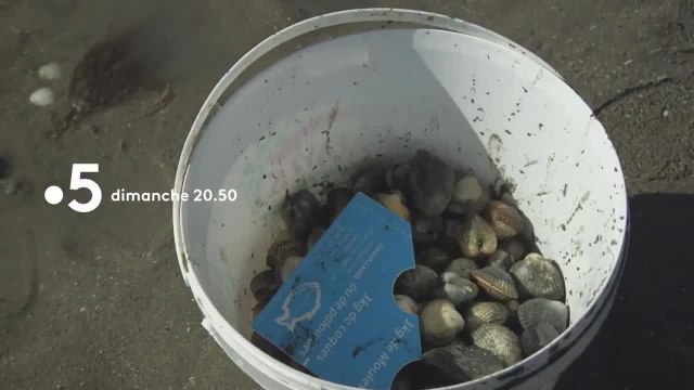 Coquillages et crustacés, la mer sur un plateau - 8 décembre