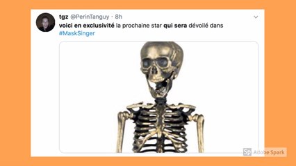 Mask Singer : "Has been", "des oubliés"… Le casting dézingué par les internautes