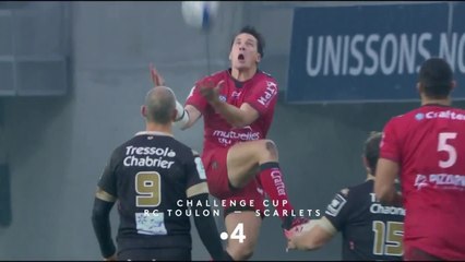 Toulon (Fra) /  Llanelli Scarlets (Gbr) - 22 novembre