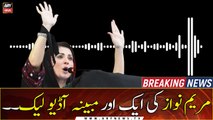 Another alleged audio of Maryam Nawaz leaks