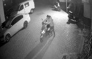 Azılı motosiklet hırsızı yakalandı