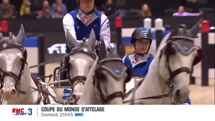 Equitation : Coupe du monde Maastricht