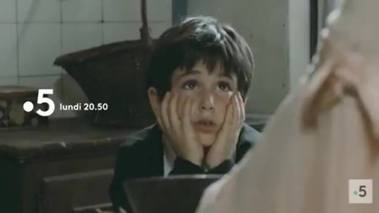 Les violons du bal - 11 novembre