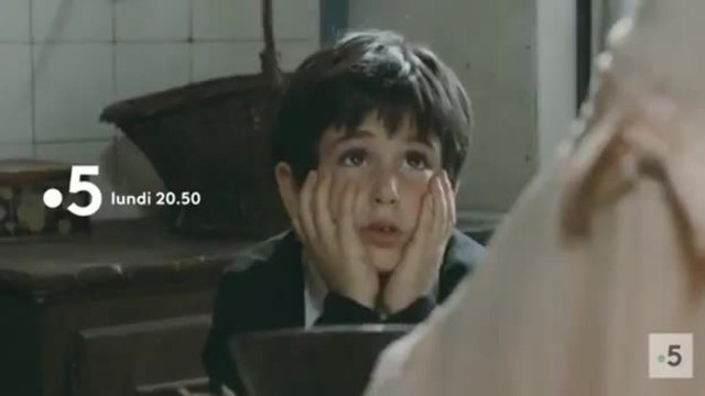 Les violons du bal - 11 novembre