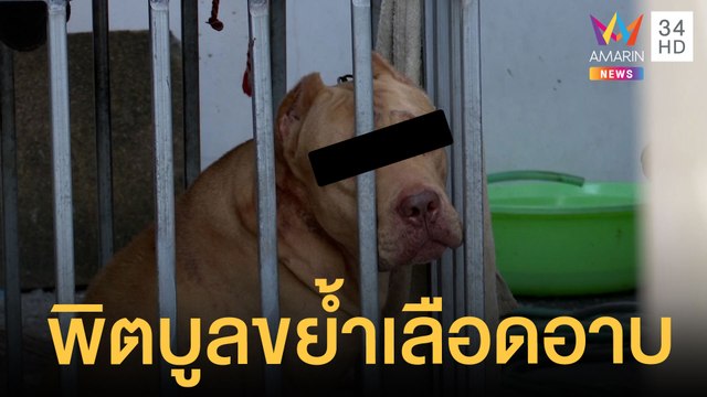 อุทาหรณ์ พิตบูล ขย้ำแม่เจ้าของบ้านเลือดอาบ | ข่าวเที่ยงอมรินทร์ | 4 ม.ค.65
