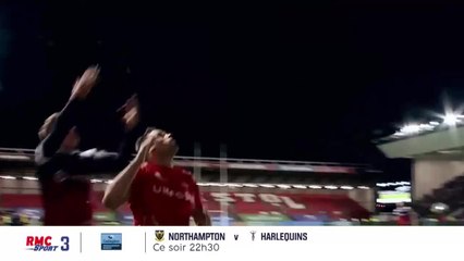 Northampton / Harlequins