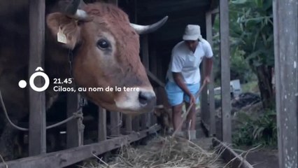 Les 30 courageuses de La Réunion - 24 octobre