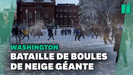 Une tempête de neige à Washington met la ville à l'arrêt