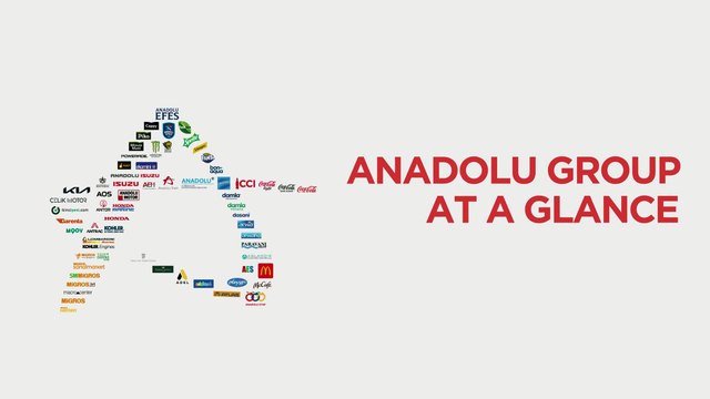 Anadolu Group At A Glance